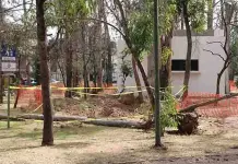 Lamenta EGC que amparo contra Seduvop frene atenci&oacute;n al Parque de Morales