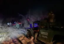 Terminó el 2024 con 448 muertes violentas