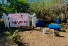 Acci&oacute;n conjunta contra laboratorio clandestino en Sinaloa