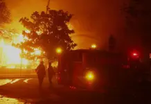 México enviará apoyo de Conafor y Sedena a Los Ángeles México enviará apoyo de Conafor y Sedena a Los Ángeles