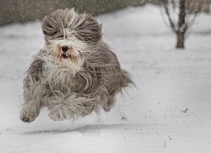 Tormenta Invernal y Frío Extremo en el Sur de EEUU