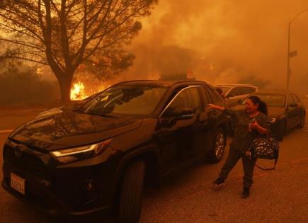 Dramáticas Historias de Evacuación en Los Ángeles