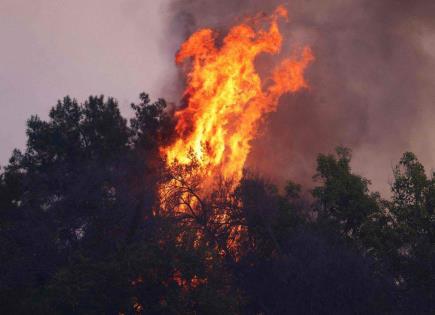 Incendios Forestales en Los Ángeles: Crisis y Devastación