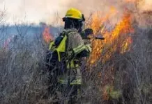 Accidente en autopista por incendio de pastizal