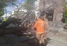 Continuarán fuertes vientos en zona centro y altiplano: CEPC