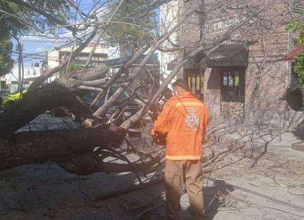 Continuarán fuertes vientos en zona centro y altiplano: CEPC