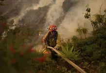 Condado Los Ángeles confirma que cifra de muertos por incendios forestales ha aumentado a 16 Condado Los Ángeles confirma que cifra de muertos por incendios forestales ha aumentado a 16