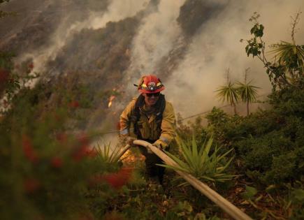 Condado Los Ángeles confirma que cifra de muertos por incendios forestales ha aumentado a 16