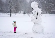 Impacto de la Tormenta Invernal en el Sur de EEUU