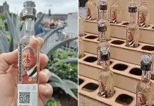 Botellas de tequila con imagen de AMLO se venden en el Zócalo a 200 pesos Botellas de tequila con imagen de AMLO se venden en el Zócalo a 200 pesos