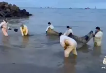 Emergencia por derrame de petróleo en el estrecho de Kerch Emergencia por derrame de petróleo en el estrecho de Kerch