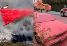 Incendios Forestales en Los Ángeles y el Uso de Phos-Chek Incendios Forestales en Los Ángeles y el Uso de Phos-Chek