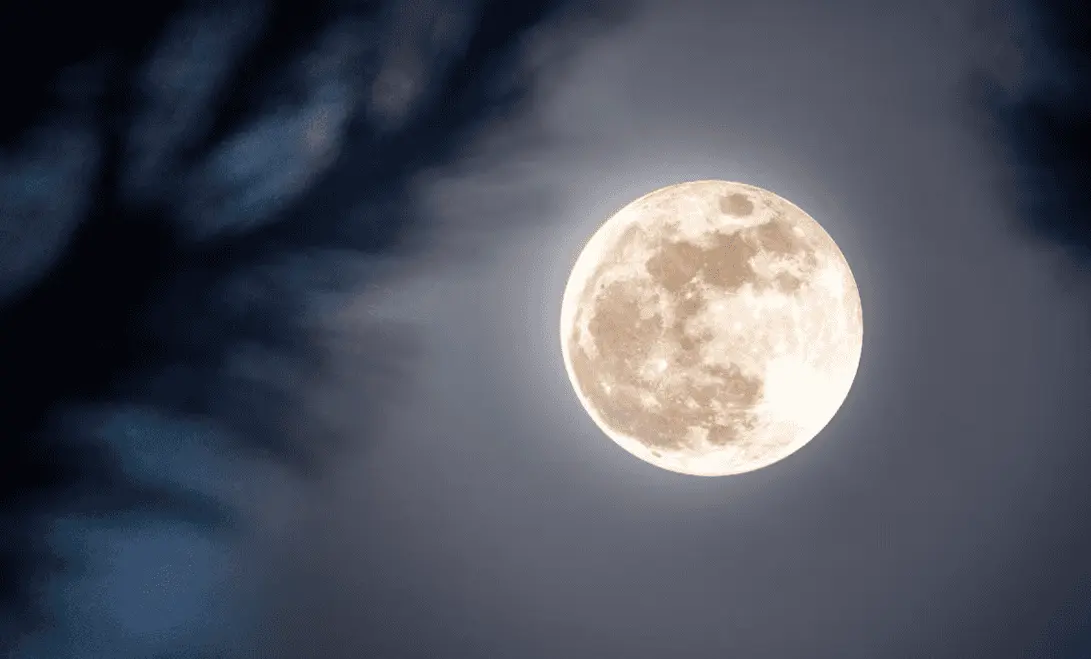 Superluna del Castor iluminará el cielo mexicano en noviembre 2025
