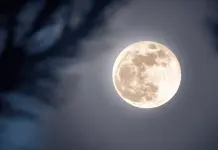 Impacto de la Luna Llena en la Fauna y Ecosistemas