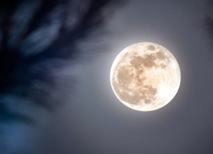 Impacto de la Luna Llena en la Fauna y Ecosistemas