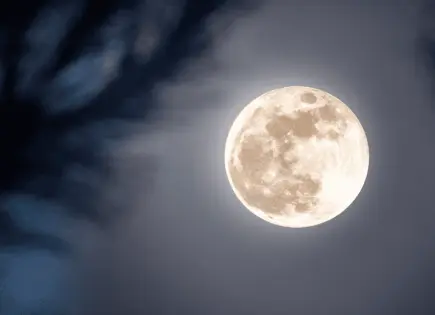 Luna del Castor 2025: Consejos de fotografía para capturar su esplendor