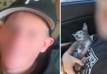 Hallan a joven desaparecido en San Luis R&iacute;o Colorado