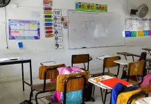 Perdi&oacute; SLP un 23% de sus maestros: Inegi