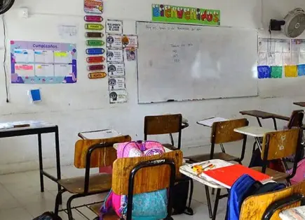 Cae  23.2% número de docentes en SLP