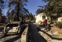 ¿Por qué Algunas Casas Resistieron los Incendios en Los Ángeles? ¿Por qué Algunas Casas Resistieron los Incendios en Los Ángeles?