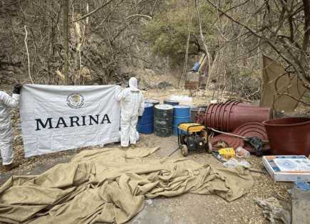 Desmantelan laboratorios en Sinaloa y aseguran toneladas de drogas