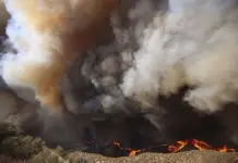 Impacto del Incendio Forestal en California