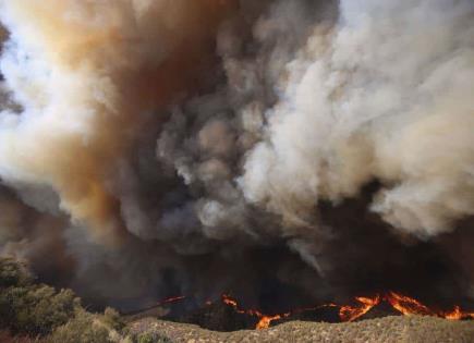 Impacto del Incendio Forestal en California