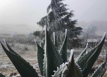 Fotos | Localidad de Jesús María se pintó de blanco