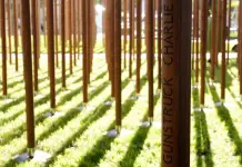 Memorial Hist&oacute;rico de la Primera Guerra Mundial en Sud&aacute;frica