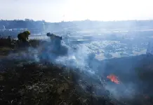 Situación actual de los incendios forestales en California Situación actual de los incendios forestales en California