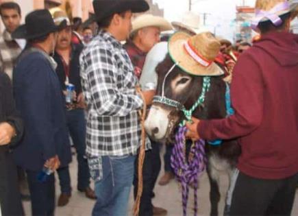 Hoy, callejoneada del Burro Rufino