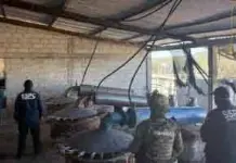 Asegurados laboratorios de metanfetamina y detenidas 14 personas en Tlaxcala Asegurados laboratorios de metanfetamina y detenidas 14 personas en Tlaxcala