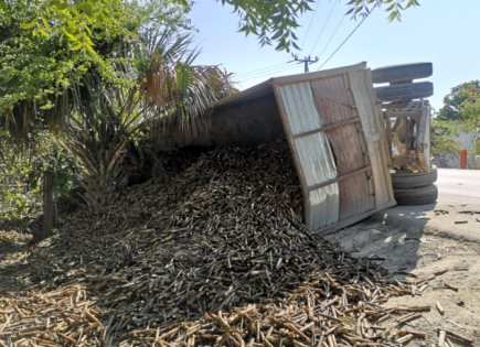 Remolque de camión cañero vuelca en la Valles-Naranjo