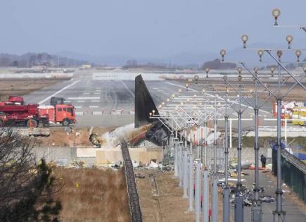 Hallan restos de aves en motores del avión accidentado en Corea del Sur