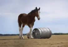Anuncios y espacios publicitarios en el Super Bowl 59