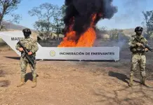 Incineración de drogas por Semar y FGR Incineración de drogas por Semar y FGR