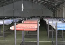 SGS ajustaría su presupuesto por migrantes SGS ajustaría su presupuesto por migrantes