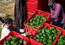 Reporta Inegi repunte de empleos y exportaciones