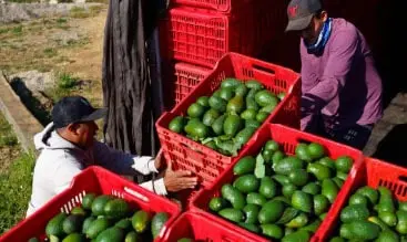 Reporta Inegi repunte de empleos y exportaciones
