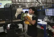 Impacto de los aranceles en la economía y la frontera de México