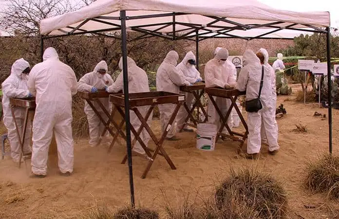 Identifican restos de persona hallada en localidad de Rioverde