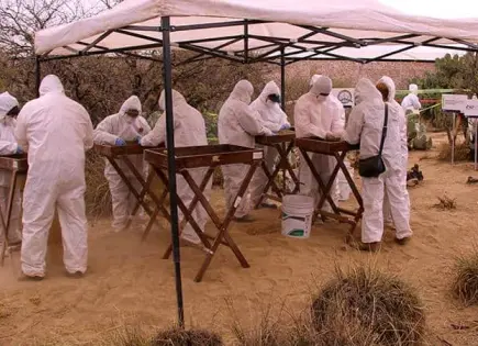 Identifican restos de persona hallada en localidad de Rioverde Identifican restos de persona hallada en localidad de Rioverde