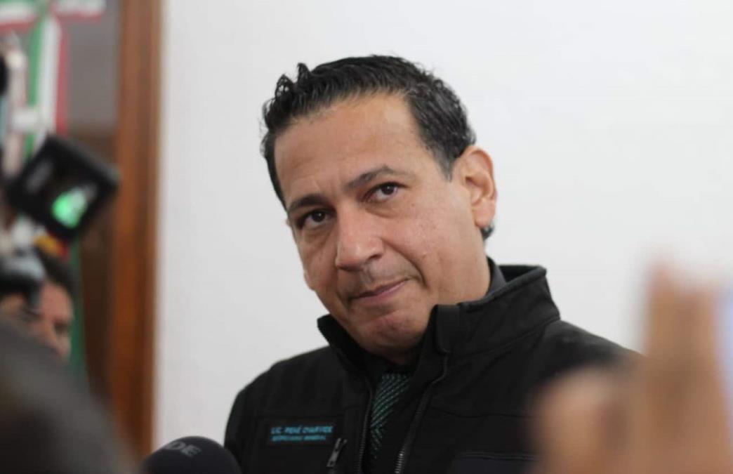 René Oyarvide Ibarra / Omar Hernández-Pulso