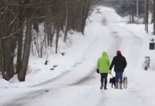 Emergencia por Tormenta Invernal en Virginia Emergencia por Tormenta Invernal en Virginia