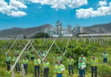 Cemex lidera en responsabilidad corporativa dentro de su sector en México