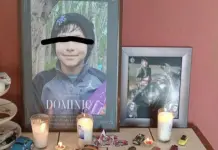 Dominic: la extraña muerte de un menor Dominic: la extraña muerte de un menor