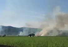 Fotos | Ya se registran incendios en la Huasteca