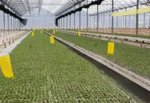 Santa Rita, en terapia intensiva desde hace tres a&ntilde;os, admite Gallardo