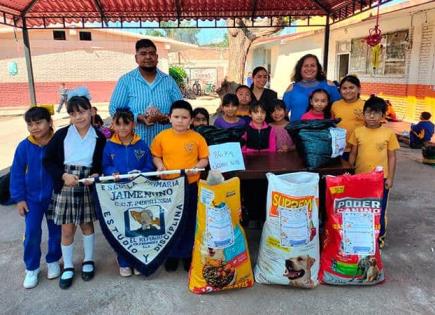 Urgen más campañas de esterilización canina