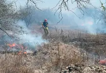 Activos, cinco incendios forestales en municipios: Conafor